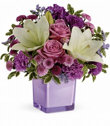 Teleflora's Pleasing Purple Bouquet from Arjuna Florist in Brockport, NY